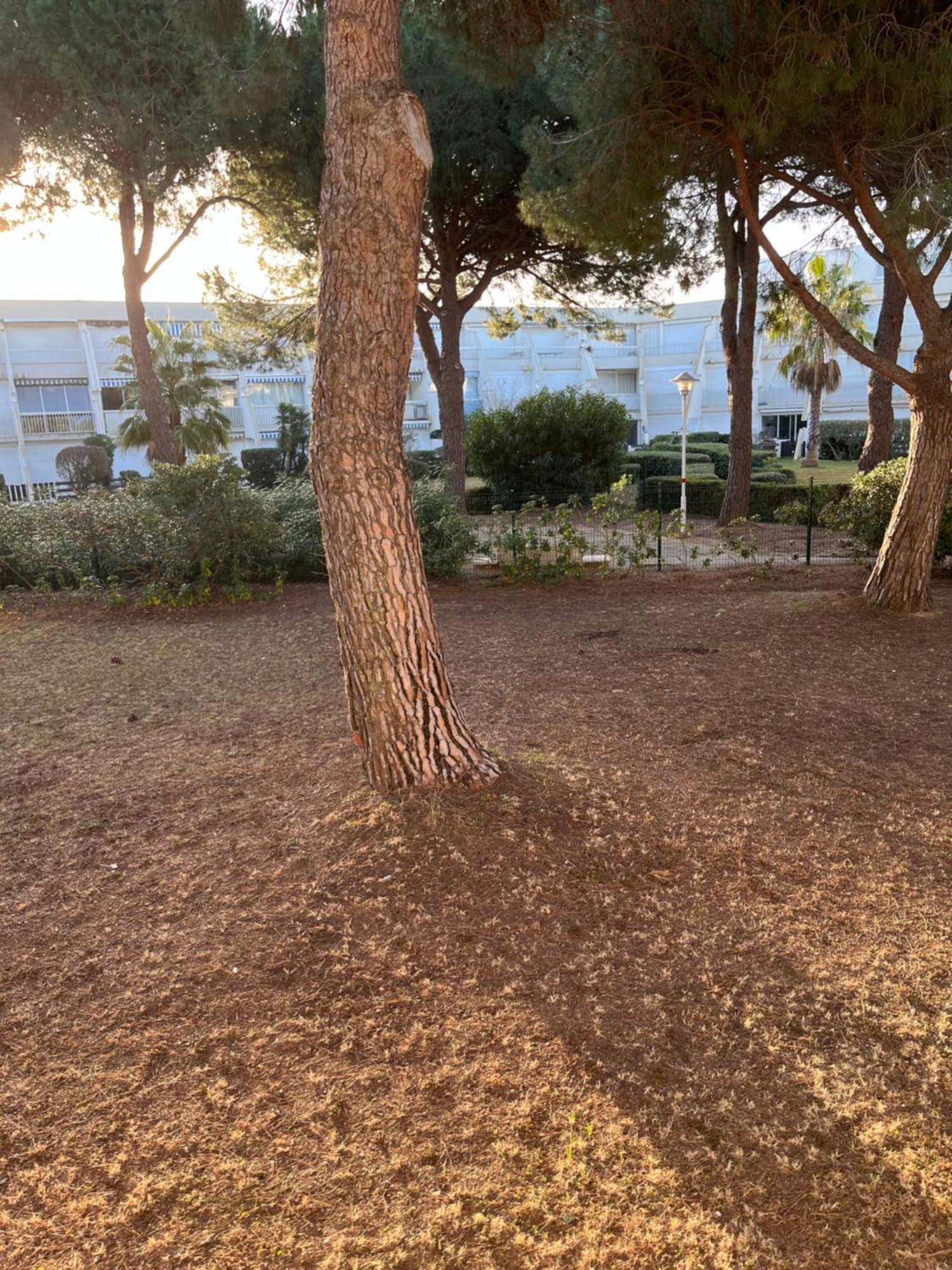 Les Caravelles Plage Sud Le Grau-du-Roi Buitenkant foto